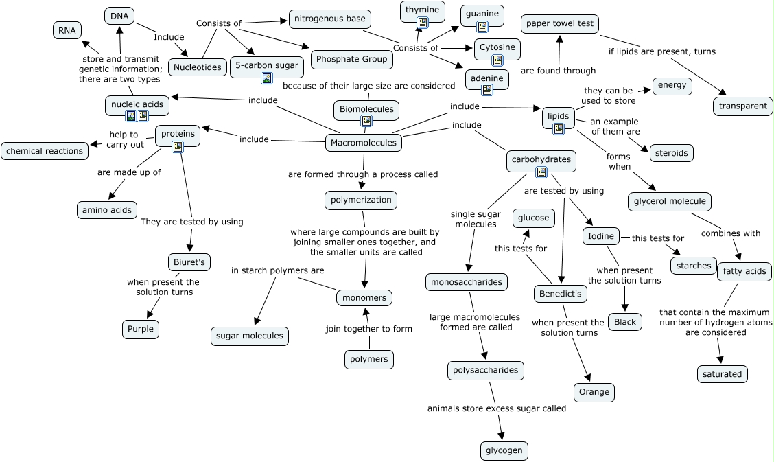 1 Biomolecules